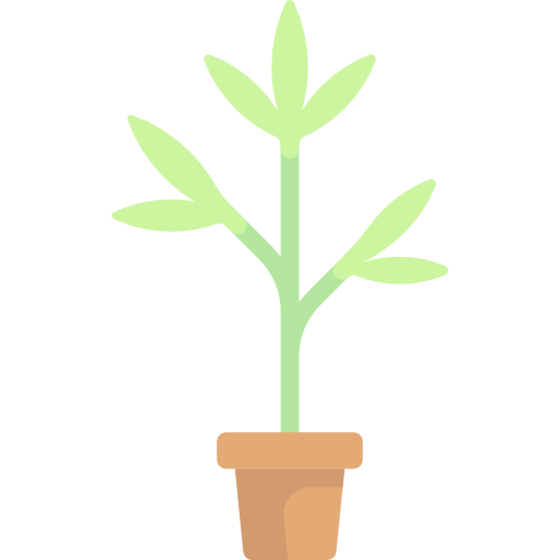 Plant Special Flat Icon