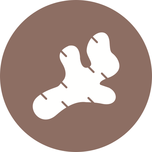 jengibre icono gratis