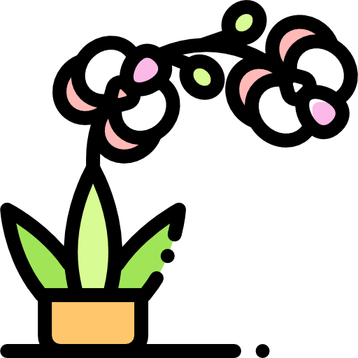 orquídea icono gratis