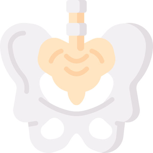 pelvis icono gratis