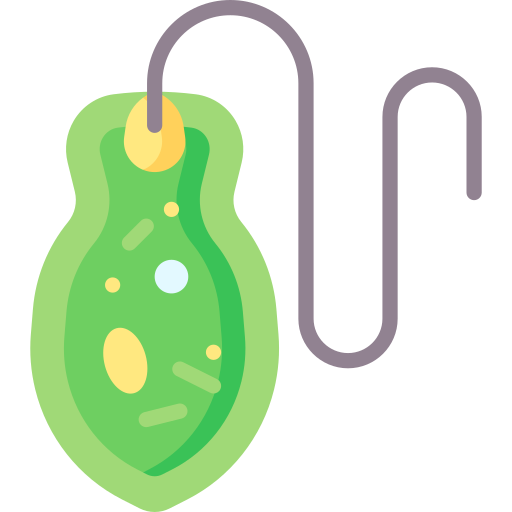 Euglena free icon