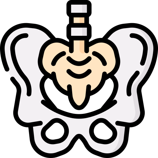 pelvis icono gratis