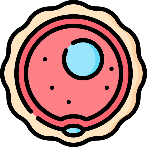 Ovum Special Lineal color icon