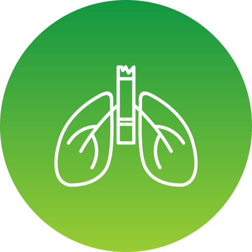 Lungs Generic Flat Gradient icon