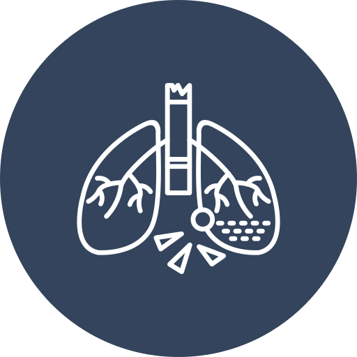 Lungs free icon