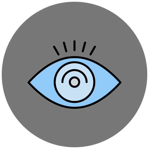 Vision Generic Outline Color icon