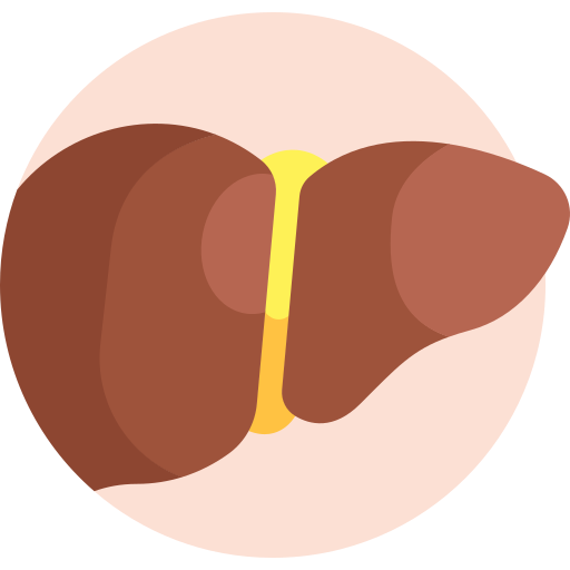 hígado icono gratis