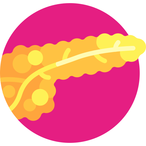 Pancreas free icon