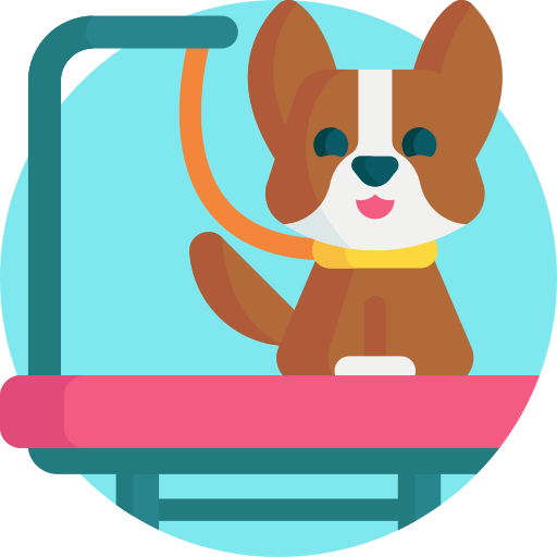 Peluquera de perros icono gratis