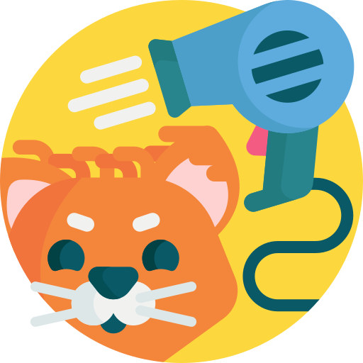 secador de pelo icono gratis