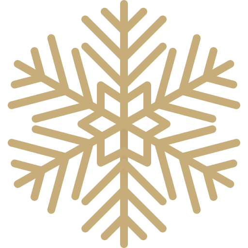 Snowflake Generic Gradient icon