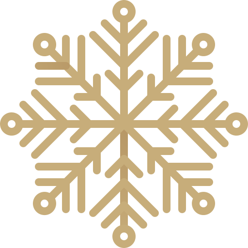 Snowflake Generic Gradient icon