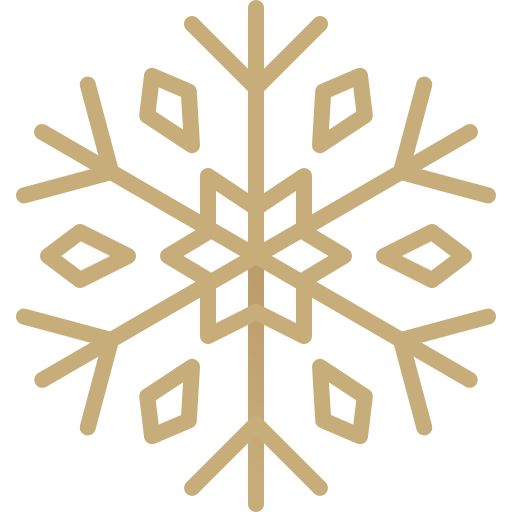 Snowflake Generic Gradient icon