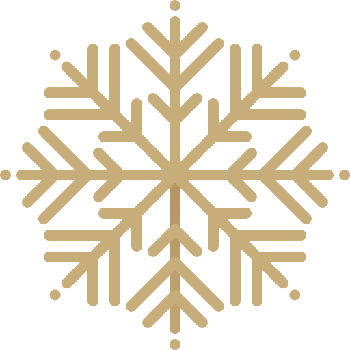 Snowflake Generic Gradient icon