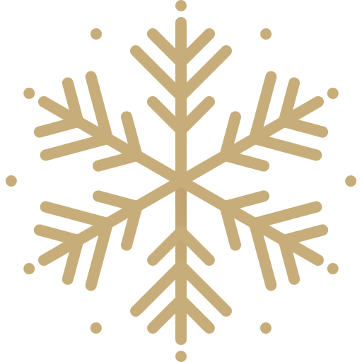 Snowflake Generic Gradient icon