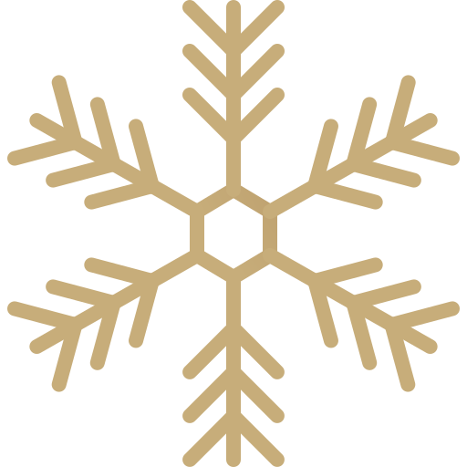 Snowflake Generic Gradient icon