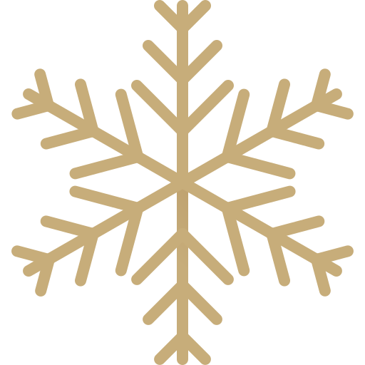 Snowflake Generic Gradient Icon