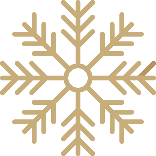 Snowflake Generic Gradient icon