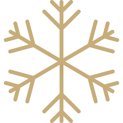 Snowflake Generic Gradient icon