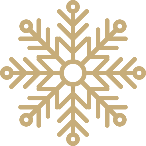 Snowflake Generic Gradient icon