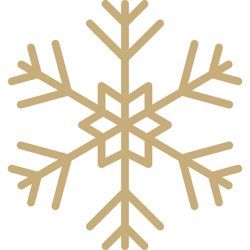 Snowflake Generic Gradient icon