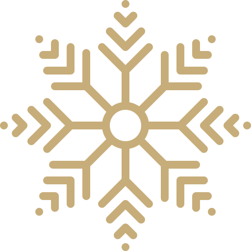 Snowflake Generic Gradient icon