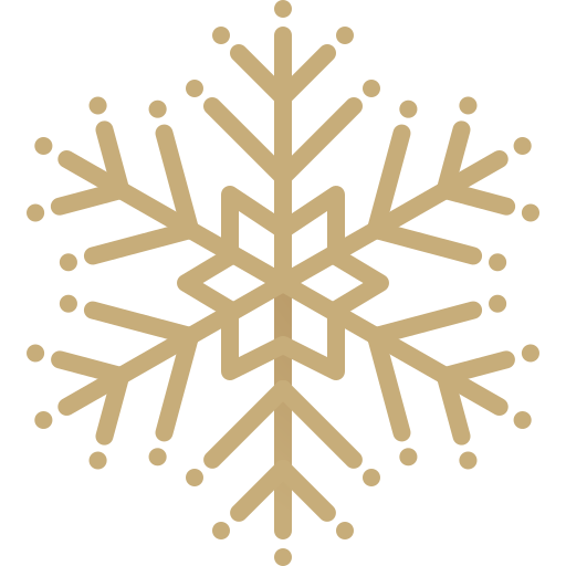 Snowflake Generic Gradient icon