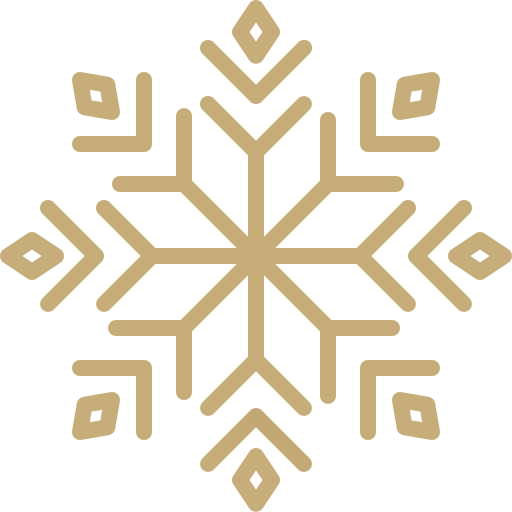 Snowflake Generic Gradient icon