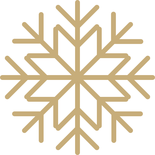 Snowflake Generic Gradient icon