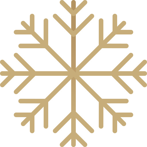 Snowflake Generic Gradient icon