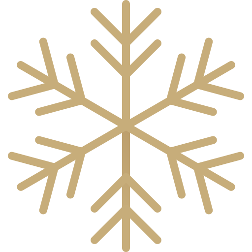 Snowflake Generic Gradient icon