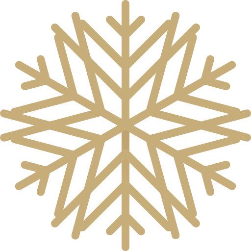 Snowflake Generic Gradient icon