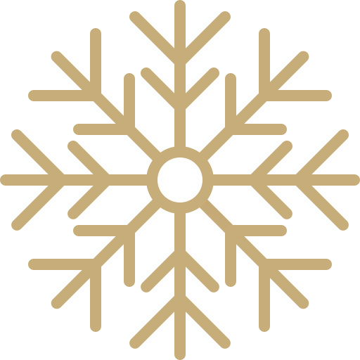 Snowflake Generic Gradient icon