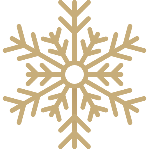 Snowflake Generic Gradient icon