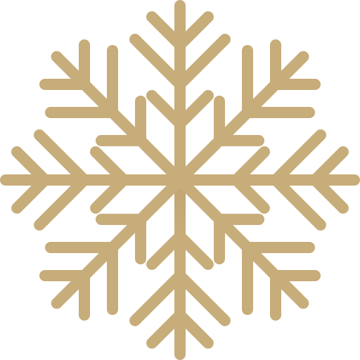 Snowflake Generic Gradient icon