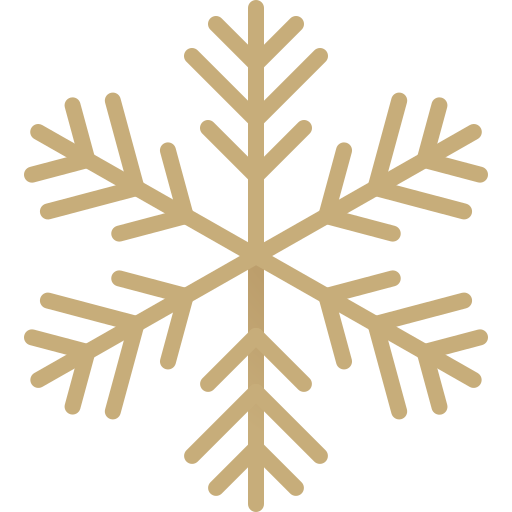 Snowflake Generic Gradient icon