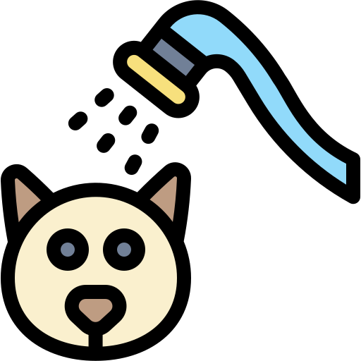 Cat Generic Outline Color Icon