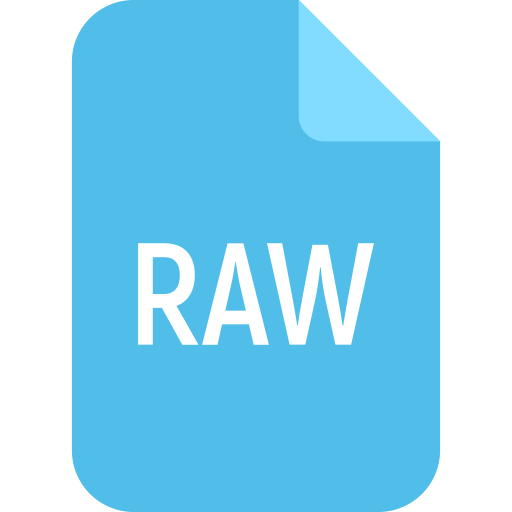 archivo raw icono gratis