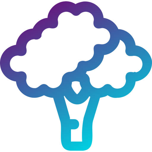 Broccoli free icon