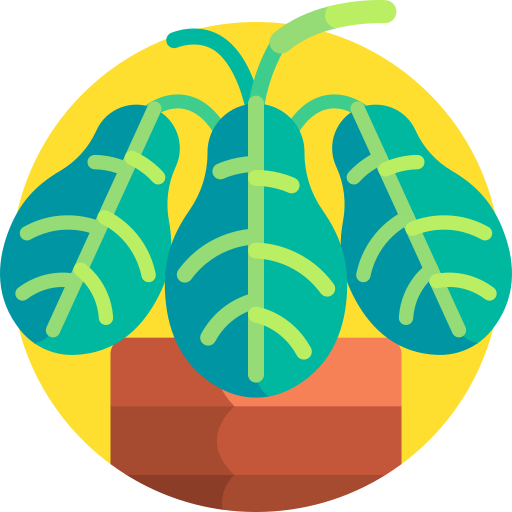 planta de oracion maranta icono gratis