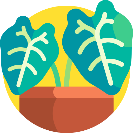 alocasia icono gratis