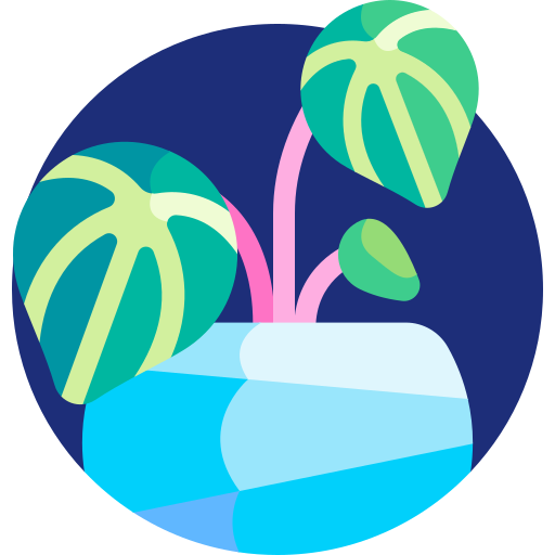 peperomia icono gratis