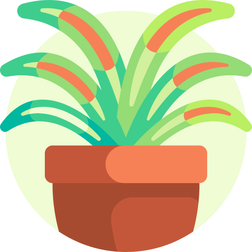 planta aranha grátis ícone planta aranha grátis ícone