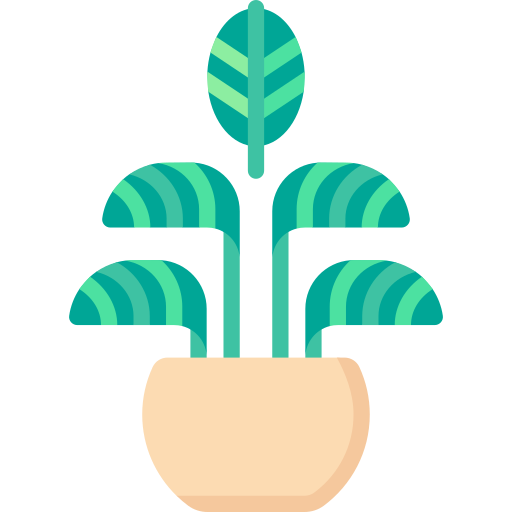 calathea de rayas icono gratis