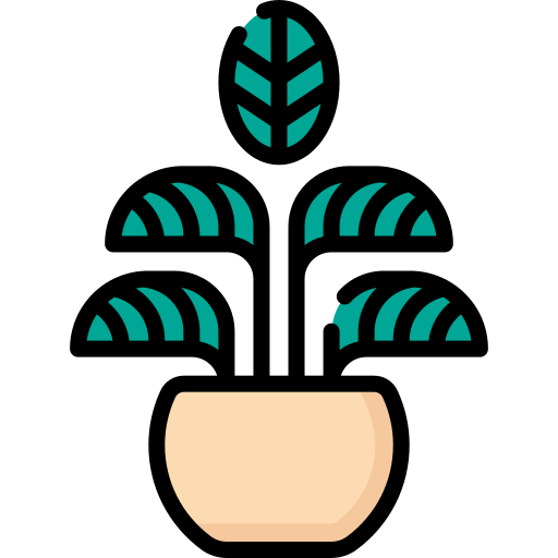 calathea de rayas icono gratis