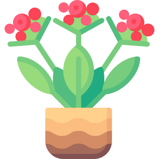 Kalanchoe icono gratis