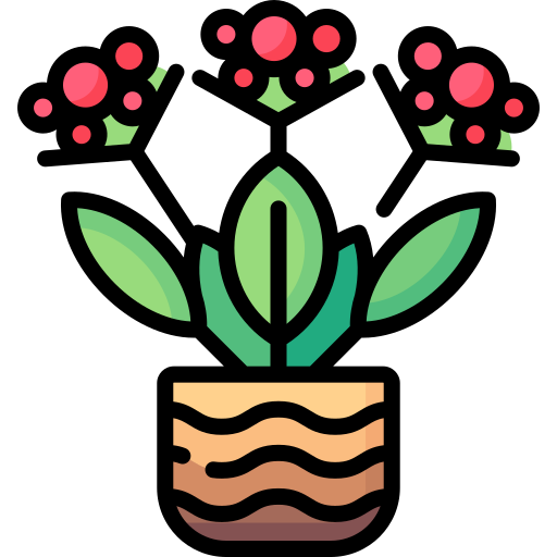 Kalanchoe icono gratis