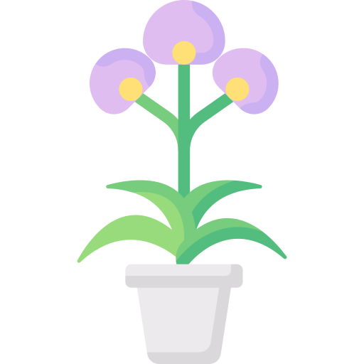 orquídea icono gratis orquídea icono gratis