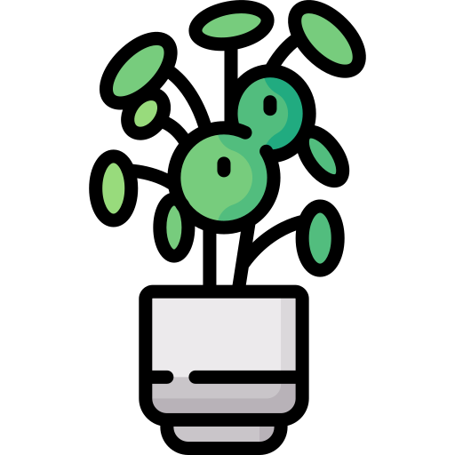 pilea Icône gratuit