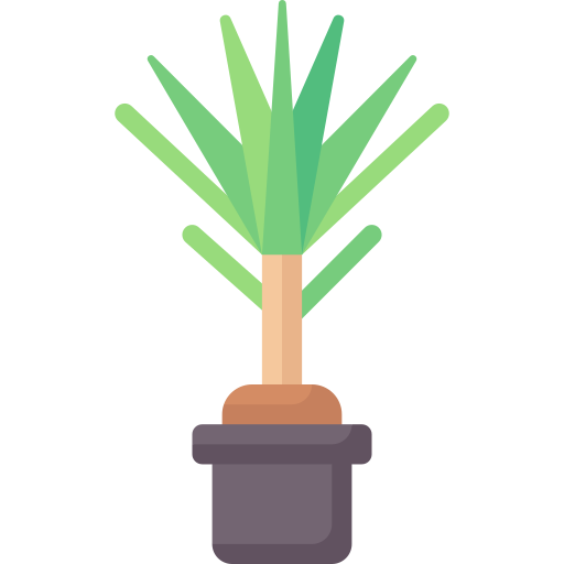 Dracaena icono gratis